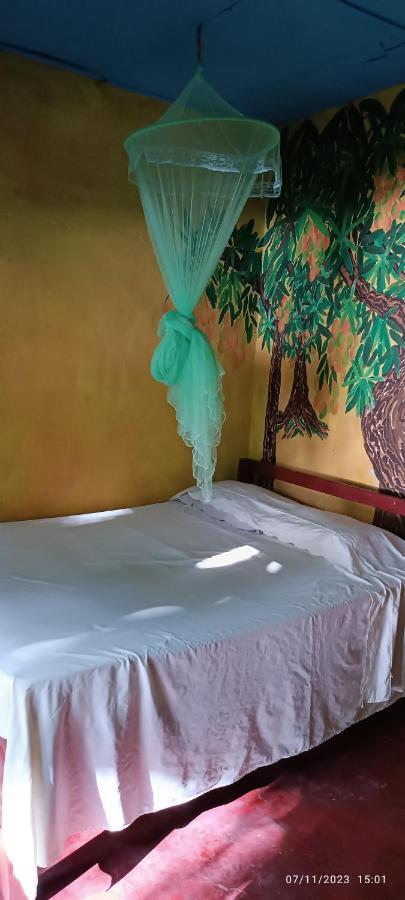 Hostel La Gloria Ometepe Dış mekan fotoğraf