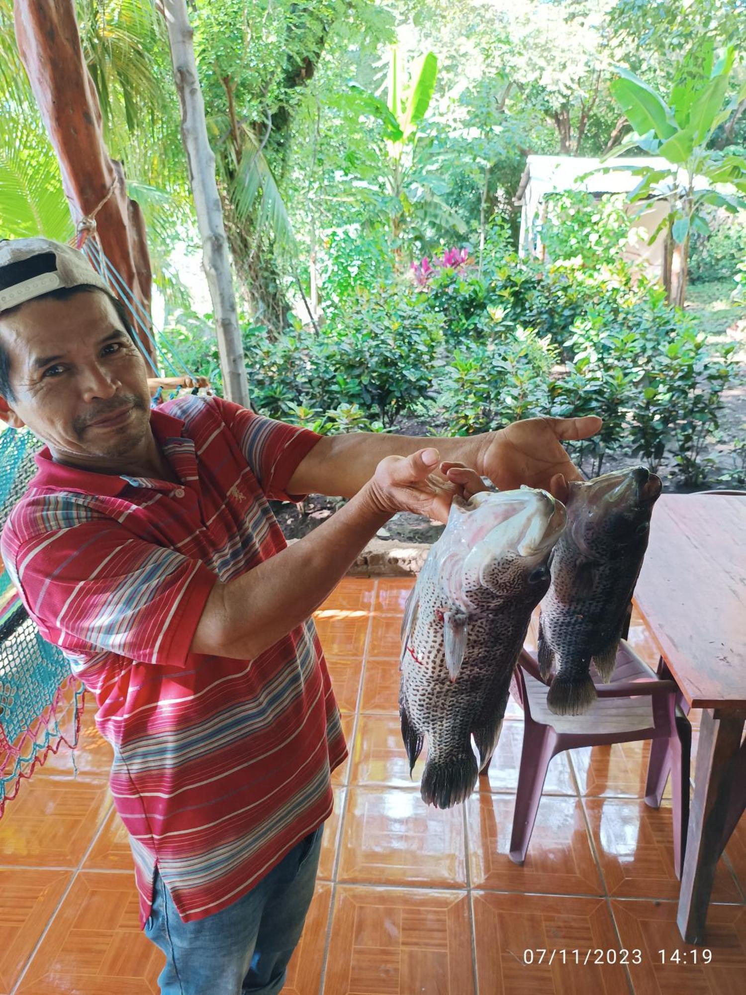 Hostel La Gloria Ometepe Dış mekan fotoğraf