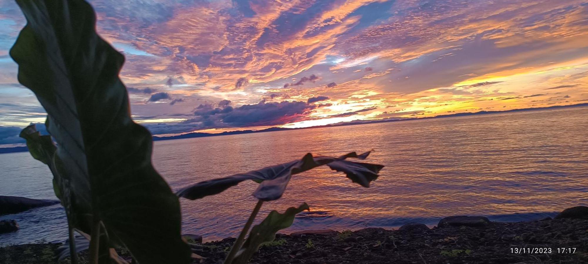 Hostel La Gloria Ometepe Dış mekan fotoğraf