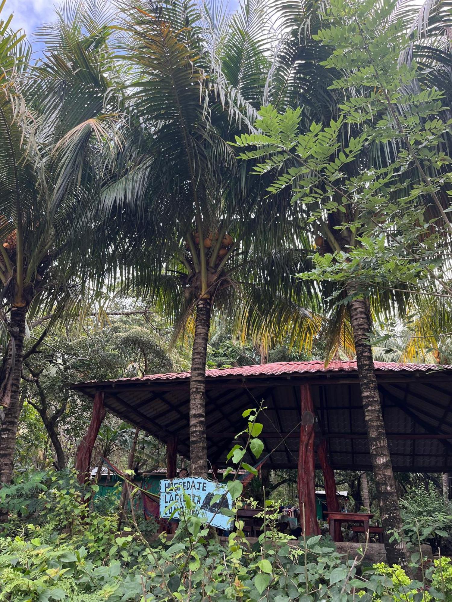 Hostel La Gloria Ometepe Dış mekan fotoğraf